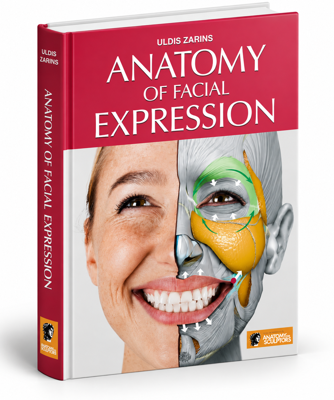 Anatomy of Facial Expressions